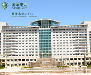 武漢凱迪正大為國網(wǎng)重慶電力公司提供售后服務